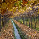 Submarino privado: el accesorio para los yates de lujo