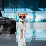 Interjet y Air Canada firman alianza para mayor conectividad