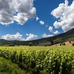 Nueva York: Rockefeller Center inaugurará Skylift