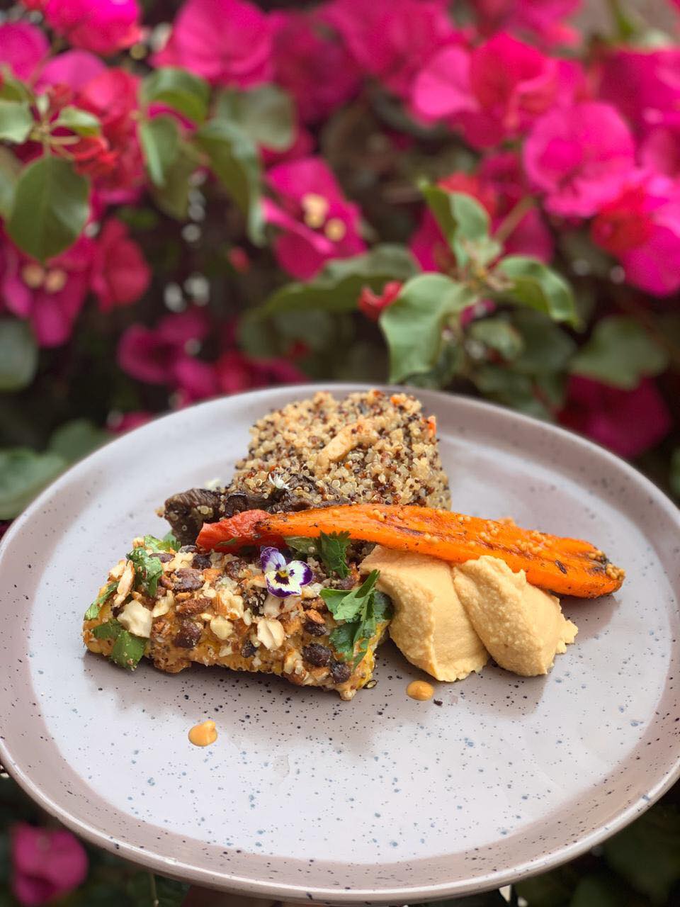 Boreal Vegan: Comida gourmet vegana en Valparaíso