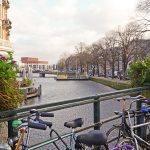 Celebra la vida y sueña con Chile