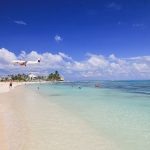 Chile: lo que hay que saber para acompañar a Los Cóndores a Francia