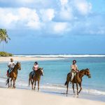 ÚNICO 20˚87˚: Hotel que recibió la distinción de cinco diamantes