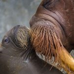 "Gana una Gira Inolvidable": la nueva temporada del programa Vacaciones 3º Edad