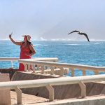 Argentina: Circuito Fito Páez retrata el vínculo  del artista con Rosario