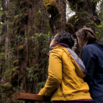 Aspen anuncia la Copa del Mundo FIS Audi 2024