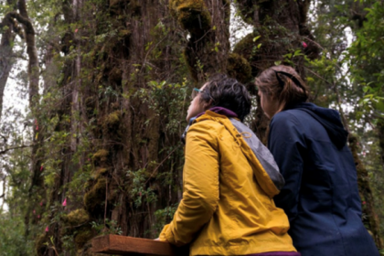 Chile gana por segundo año consecutivo el Oscar del Turismo