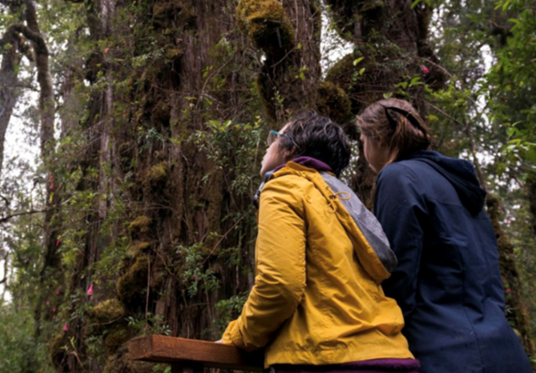 Chile gana por segundo año consecutivo el Oscar del Turismo
