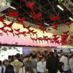 "Es recomendable contratar tu seguro al momento de hacer un viaje dentro de Chile"