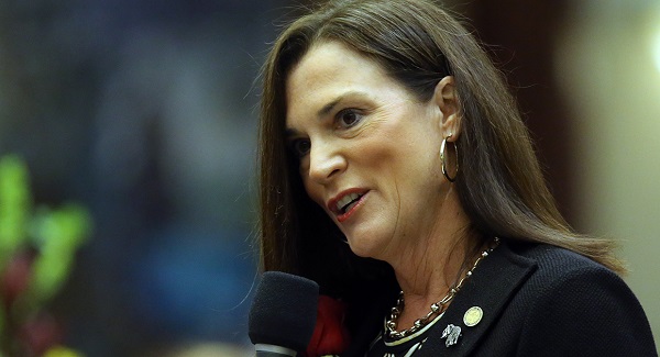 Dana Young, nueva presidenta y CEO de Visit Florida