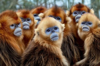 Discovery estrena nueva serie Siete Mundos, Un Planeta