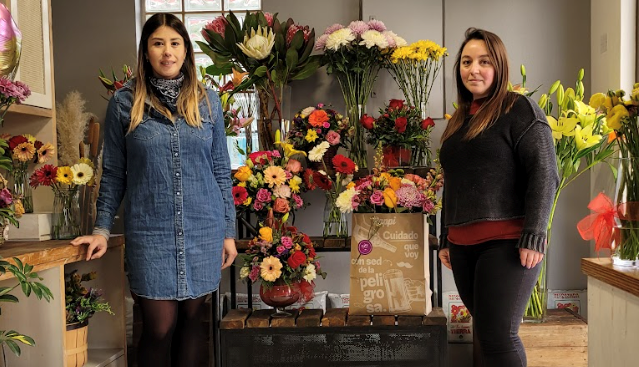 Día Mundial del Emprendimiento Femenino: ellas también crecen con la vitrina digital