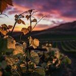 FITUR 2021 se celebrará de 19 al 23 de mayo