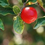 ¡Así fue FITUR 2021!