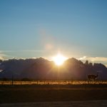 Chile desplegará sus atractivos turísticos en Colombia