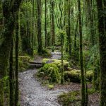 Estudio de ITB Berlin NOW revela los intereses de viajes de los alemanes post pandemia