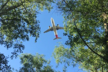 Clientes del Grupo Iberia pueden compensar las emisiones de sus vuelos