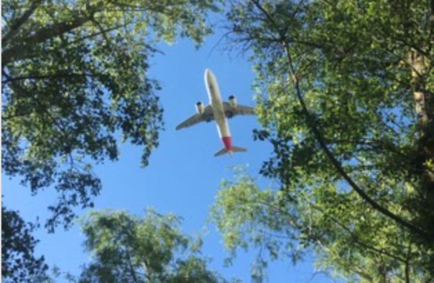 Clientes del Grupo Iberia pueden compensar las emisiones de sus vuelos