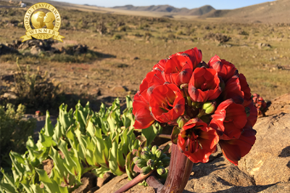 Chile gana premio a Mejor Destino 2020  reafirmando su liderazgo