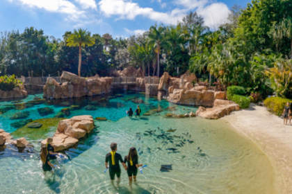 Orlando: Discovery Cove una opción para las vacaciones de julio