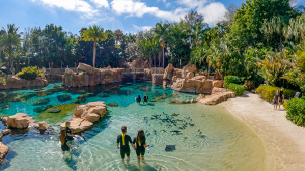 Orlando: Discovery Cove una opción para las vacaciones de julio