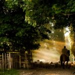 Iberostar Cancún mejora la experiencia de los viajeros con habitaciones Star Prestige