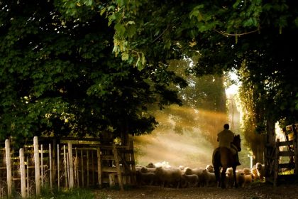 Aysén Patagonia invita a conectarse con la aventura en familia