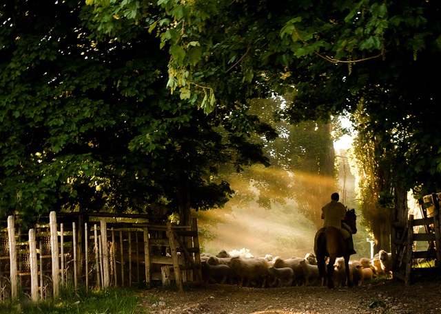 Aysén Patagonia invita a conectarse con la aventura en familia