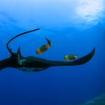 Lugares que debes visitar este verano 2018 en Chile