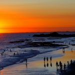 Una morsa bebé: la nueva integrante de la familia SeaWorld Orlando