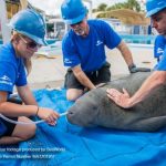 Chiloé será la sede del 41º Congreso anual de Achet