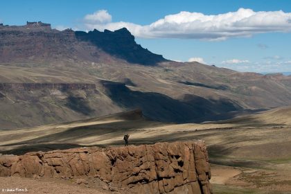 Conoce 3 tours que no sabías que existen en la Antártica chilena