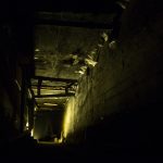 Agencias de viaje perciben repunte de viajes para Navidad