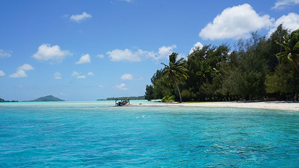 Tahití lanza campaña reconectar con el mundo en Las Islas de Tahití