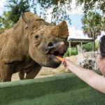 Airkeep gana  la primera Competencia Nacional de Startups de Turismo en Chile