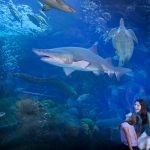 ACHET: Acuerdo aéreo perjudicará al consumidor y afectará llegada de turistas a Chile