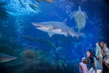 Tampa, un destino ideal para disfrutar en familia