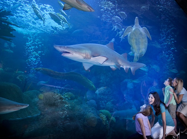 Tampa, un destino ideal para disfrutar en familia