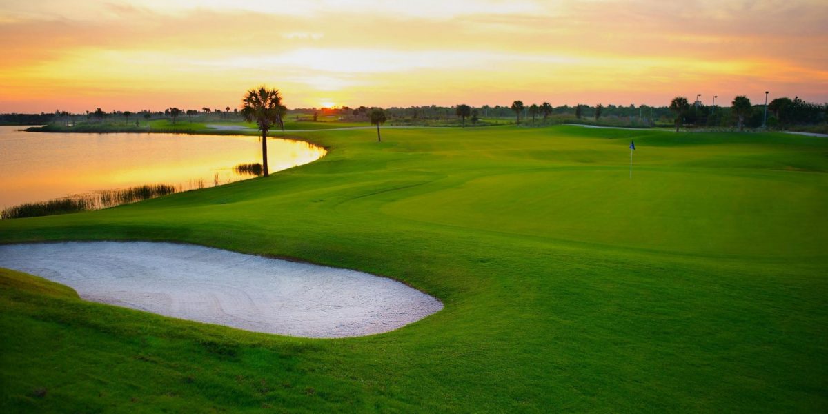 The Palm Beaches:  un paraíso tropical de lujo