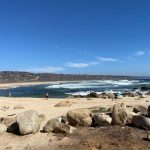 Jamaica: Destino donde puedes combinar vacaciones y maratones