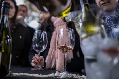 Vendimia 2022: un imperdible para los amantes del vino