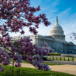Madrid lanzó mapa urbano con localizaciones  del cine de Almodóvar