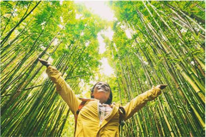 WTTC alerta a gobiernos y privados a frenar la pérdida de diversidad y el cambio climático