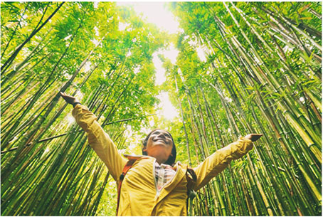 WTTC alerta a gobiernos y privados a frenar la pérdida de diversidad y el cambio climático