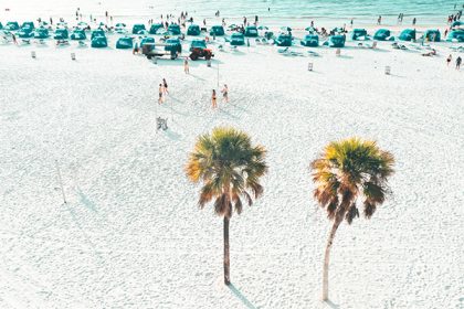 Alerta de viaje de St. Pete - Clearwater