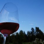 La ciudad de Valdivia sede de congreso del Turismo en Chile