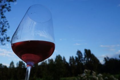 ¿Qué hacer en el Día Nacional del Vino?