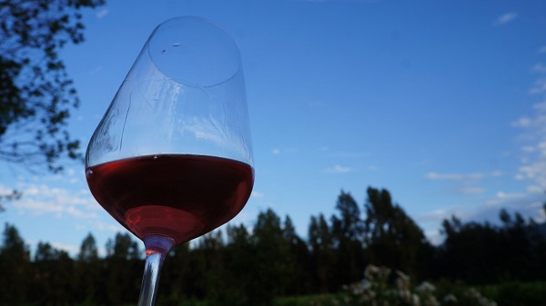 ¿Qué hacer en el Día Nacional del Vino?