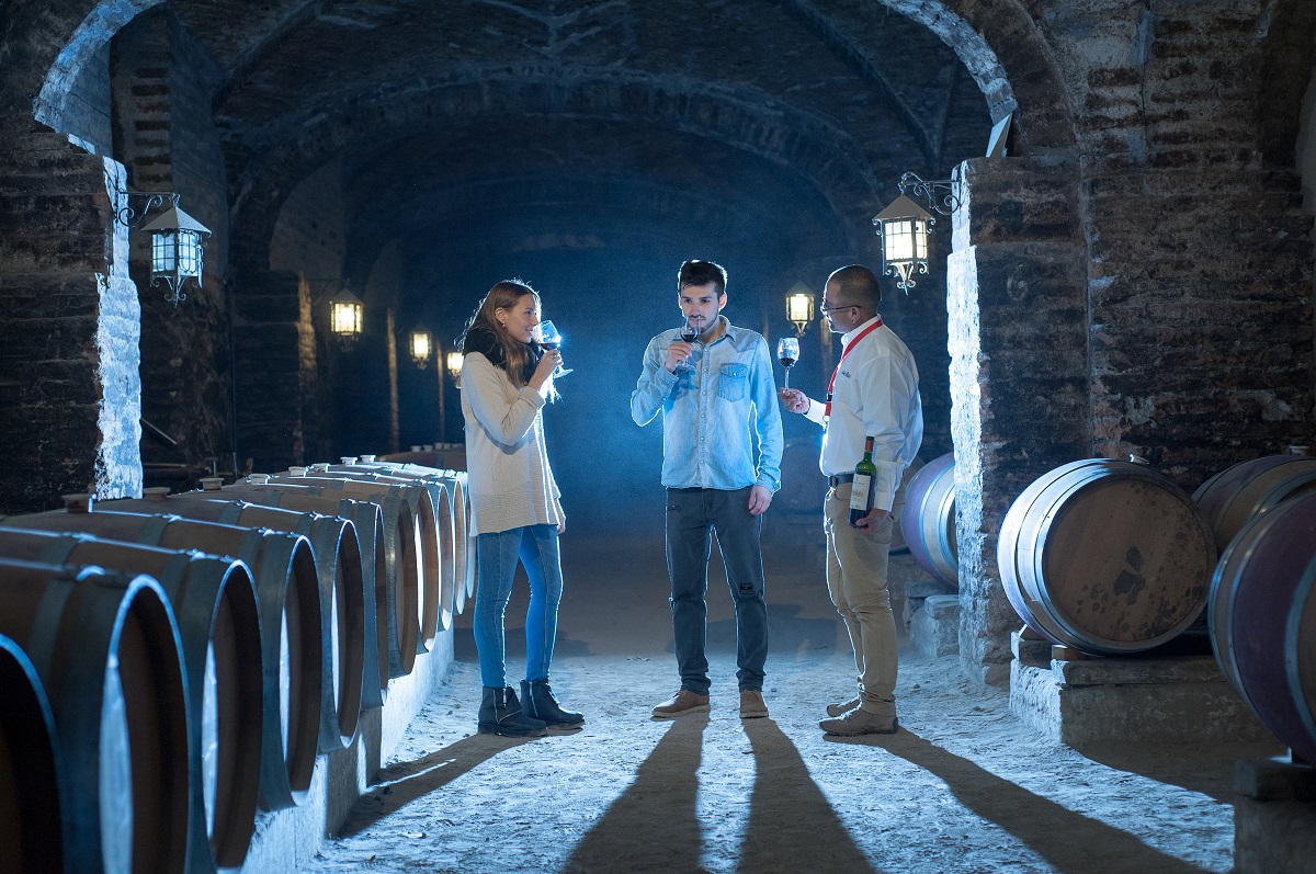 Valle del Maipo potenciará el enoturismo en Santiago