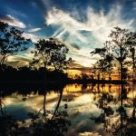 After Ony Business Networking en su cuarta versión